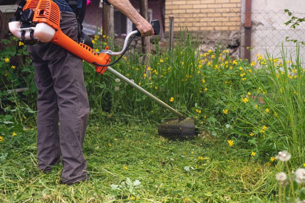 Košenje trave u dvorištu